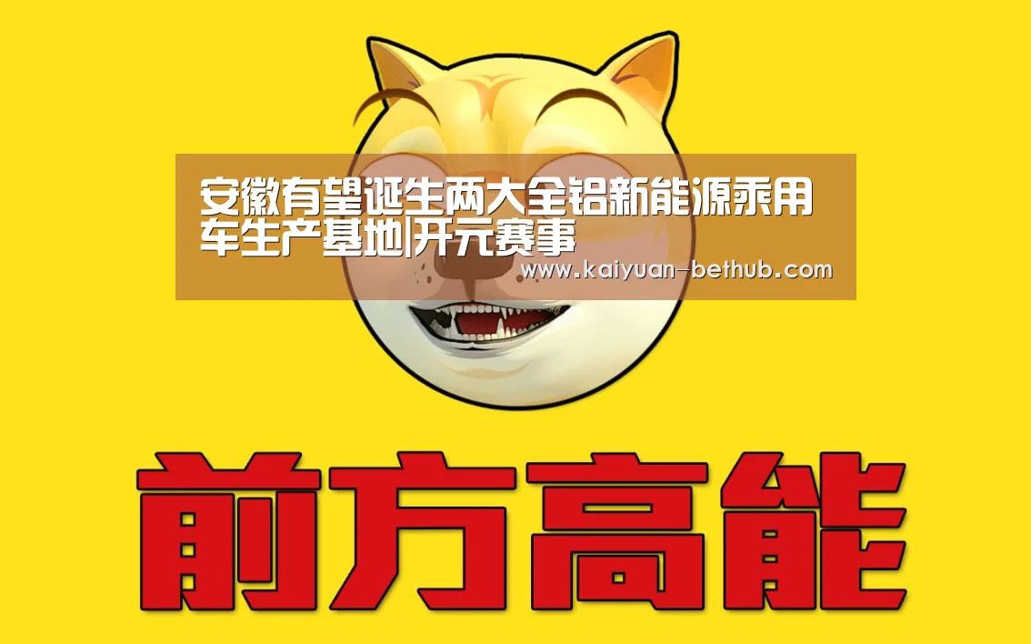 安徽有望诞生两大全铝新能源乘用车生产基地|开元赛事(图1) 开元游戏