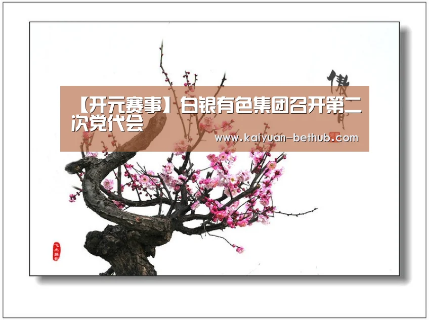 【开元赛事】白银有色集团召开第二次党代会(图3) 开元游戏